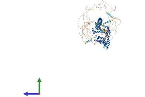 AlphaFold protein structure predicition of Mouse Recombinant Cux1 Protein, UniprotID P53564