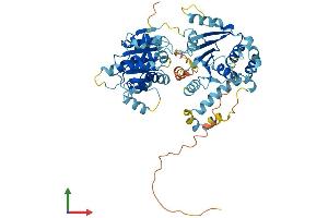 AlphaFold protein structure predicition of Human Recombinant DDX56 Protein, UniprotID Q9NY93
