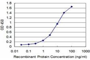 Detection limit for recombinant GST tagged PCNA is approximately 0. (PCNA anticorps  (AA 78-177))