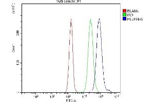 anti-Pleckstrin Homology Domain Containing, Family A Member 5 (PLEKHA5) (AA 25-905) antibody