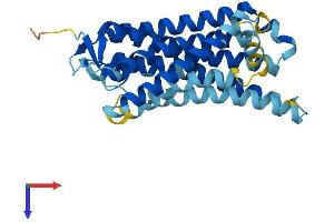 AlphaFold protein structure predicition of Human Recombinant OR12D2 Protein, UniprotID P58182