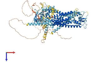 AlphaFold protein structure predicition of Mouse Recombinant Ano2 Protein, UniprotID Q8CFW1