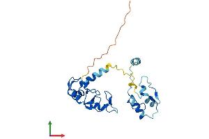 AlphaFold protein structure predicition of Human Recombinant RNF114 Protein, UniprotID Q9Y508