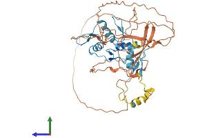 AlphaFold protein structure predicition of Mouse Recombinant Yy1 Protein, UniprotID Q00899