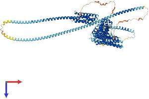 AlphaFold protein structure predicition of Mouse Recombinant Hip1r Protein, UniprotID Q9JKY5