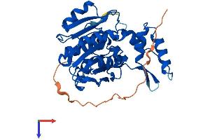 AlphaFold protein structure predicition of Mouse Recombinant Abhd11 Protein, UniprotID Q8K4F5