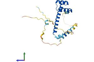 AlphaFold protein structure predicition of Human Recombinant LBX2 Protein, UniprotID Q6XYB7