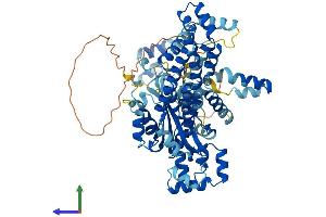 AlphaFold protein structure predicition of Human Recombinant FAM200B Protein, UniprotID P0CF97