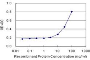 Sandwich ELISA detection sensitivity ranging from 3 ng/mL to 100 ng/mL. (IGSF6 (Humain) Matched Antibody Pair)
