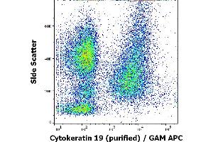 Flow cytometry intracellular staining pattern of human peripheral whole blood spiked with MCF-7 cells stained using anti-Cytokeratin 19 (A53-B/A2) purified antibody (concentration in sample 3 μg/mL, GAM APC). (Cytokeratin 19 anticorps)