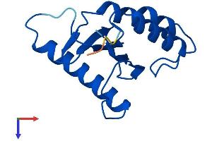 AlphaFold protein structure predicition of Mouse Recombinant Trappc1 Protein, UniprotID Q5NCF2