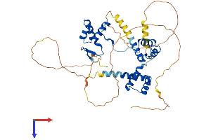AlphaFold protein structure predicition of Human Recombinant PAX6 Protein, UniprotID P26367