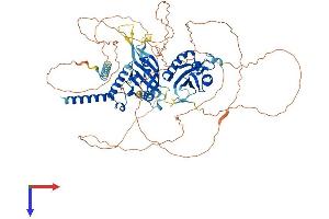 AlphaFold protein structure predicition of Human Recombinant SIM1 Protein, UniprotID P81133