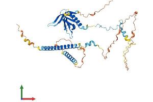 AlphaFold protein structure predicition of Mouse Recombinant Plekho1 Protein, UniprotID Q9JIY0