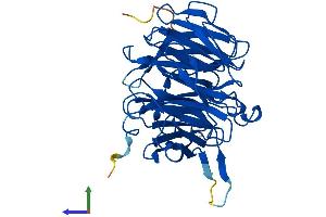 AlphaFold protein structure predicition of Human Recombinant RAE1 Protein, UniprotID P78406