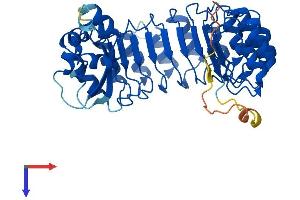 AlphaFold protein structure predicition of Human Recombinant FBXL14 Protein, UniprotID Q8N1E6