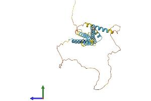 AlphaFold protein structure predicition of Mouse Recombinant Camlg Protein, UniprotID P49070