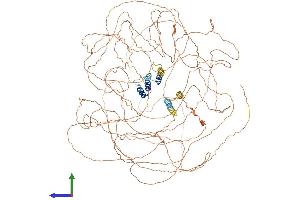 AlphaFold protein structure predicition of Mouse Recombinant Tcof1 Protein, UniprotID O08784