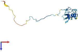 AlphaFold protein structure predicition of Human Recombinant RBX1 Protein, UniprotID P62877