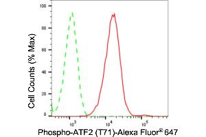 Flow cytometric analysis of phospho-ATF2 (T71) expression in C2C12 cells using phospho-ATF2 (T71) antibody (ABIN7797480), 1:2,000). (Recombinant ATF2 anticorps  (pThr71))