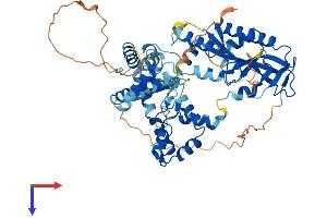 AlphaFold protein structure predicition of Human Recombinant MUS81 Protein, UniprotID Q96NY9