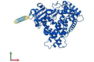 AlphaFold protein structure predicition of Human Recombinant CYP2A6 Protein, UniprotID P11509