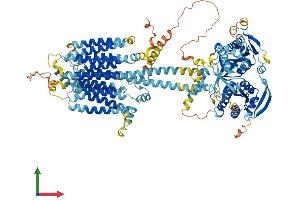 AlphaFold protein structure predicition of Mouse Recombinant Adcy4 Protein, UniprotID Q91WF3