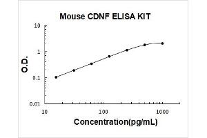 Cerebral Dopamine Neurotrophic Factor (CDNF) ELISA Kit