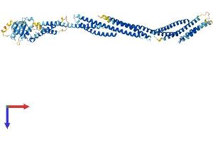 AlphaFold protein structure predicition of Human Recombinant SESTD1 Protein, UniprotID Q86VW0