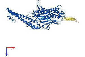 AlphaFold protein structure predicition of Human Recombinant SARS1 Protein, UniprotID P49591