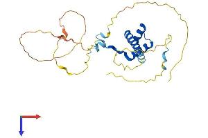 AlphaFold protein structure predicition of Mouse Recombinant Msx2 Protein, UniprotID Q03358
