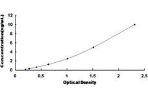 Typical standard curve (SCNN1A Kit ELISA)