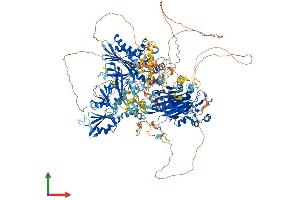 AlphaFold protein structure predicition of Mouse Recombinant Synj2 Protein, UniprotID Q9D2G5