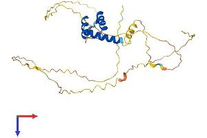 AlphaFold protein structure predicition of Human Recombinant MEOX2 Protein, UniprotID P50222