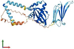 AlphaFold protein structure predicition of Human Recombinant PIH1D2 Protein, UniprotID Q8WWB5