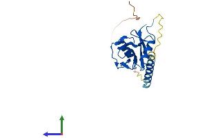 AlphaFold protein structure predicition of Human Recombinant CD69 Protein, UniprotID Q07108