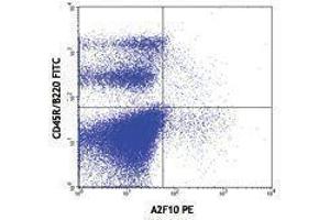 Flow Cytometry (FACS) image for anti-Fms-Related tyrosine Kinase 3 (FLT3) antibody (PE) (ABIN2663014) (FLT3 anticorps  (PE))