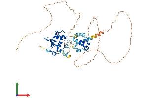 AlphaFold protein structure predicition of Mouse Recombinant Ets2 Protein, UniprotID P15037
