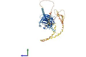 AlphaFold protein structure predicition of Mouse Recombinant Gldn Protein, UniprotID Q8BMF8