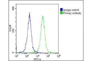 Overlay histogram showing Hela cells stained with (ABIN6243383 and ABIN6578856)(green line).
