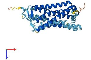 Olfactory Receptor, Family 4, Subfamily D, Member 6 (OR4D6) (AA 1-314) protein (His tag)