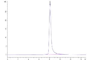 The purity of Canine ENPP-3 is greater than 95 % as determined by SEC-HPLC.
