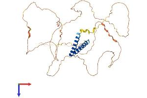 AlphaFold protein structure predicition of Mouse Recombinant Ss18l1 Protein, UniprotID Q8BW22
