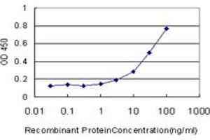 Detection limit for recombinant GST tagged CTSW is approximately 3ng/ml as a capture antibody. (Cathepsin W anticorps  (AA 22-376))