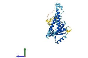 AlphaFold protein structure predicition of Human Recombinant PSMD14 Protein, UniprotID O00487