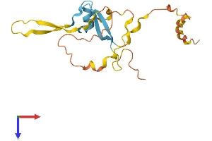 AlphaFold protein structure predicition of Human Recombinant DAZAP2 Protein, UniprotID Q15038