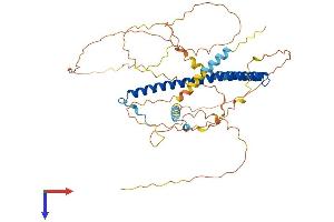 AlphaFold protein structure predicition of Mouse Recombinant Nfil3 Protein, UniprotID O08750