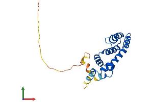 AlphaFold protein structure predicition of Human Recombinant RGS8 Protein, UniprotID P57771
