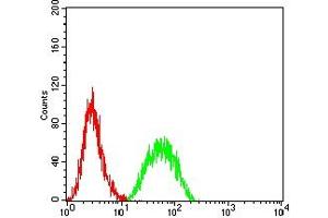 Flow cytometric analysis of THP-1 cells using IL1B mouse mAb (green) and negative control (red).