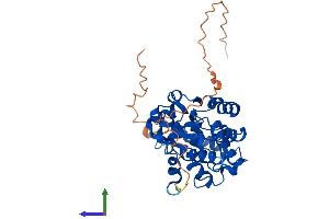 AlphaFold protein structure predicition of Human Recombinant CLVS1 Protein, UniprotID Q8IUQ0